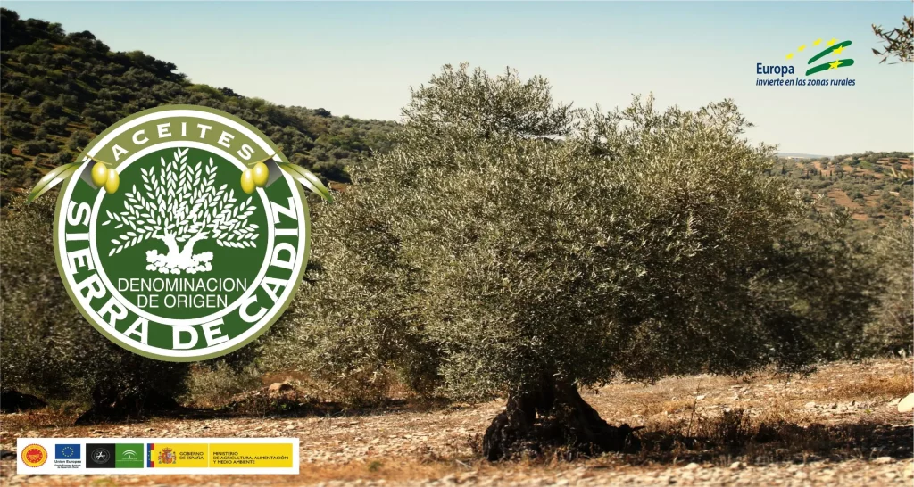 Comercializadora sabor andaluz cover.webp