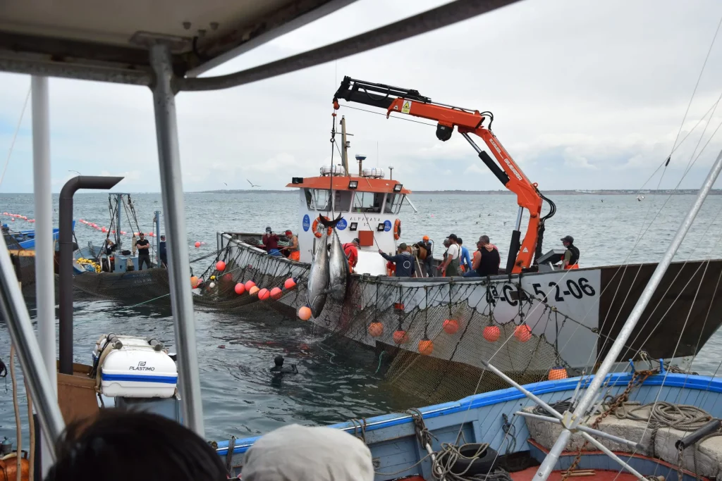 Explore la tierra featured.webp