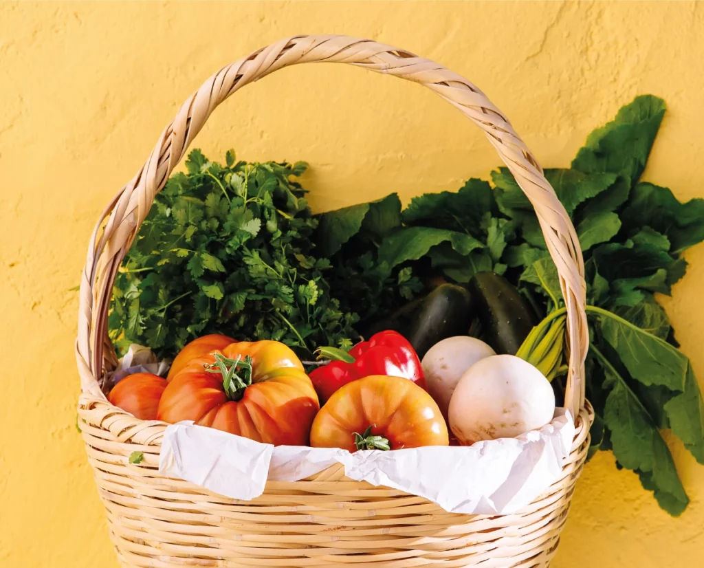 Guadimonte featured.webp