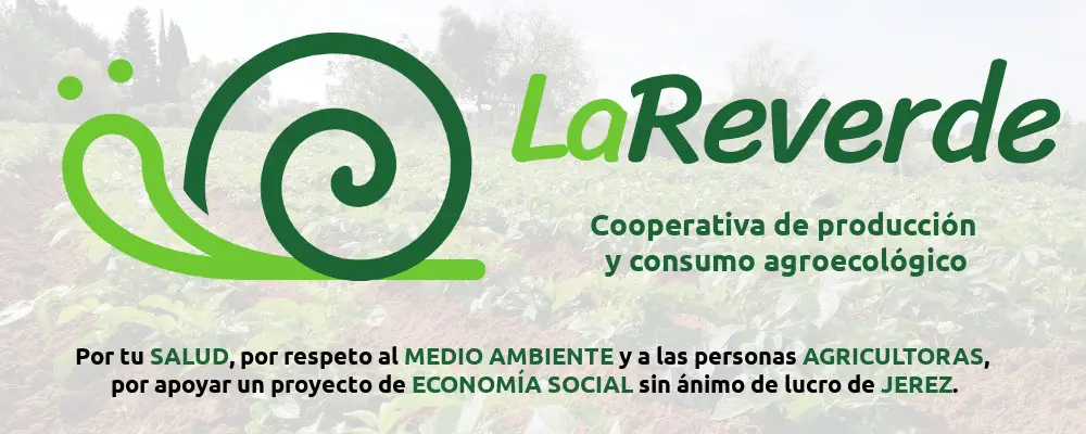 La reverde featured.webp