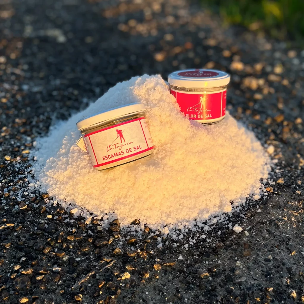 La tajeria featured.webp