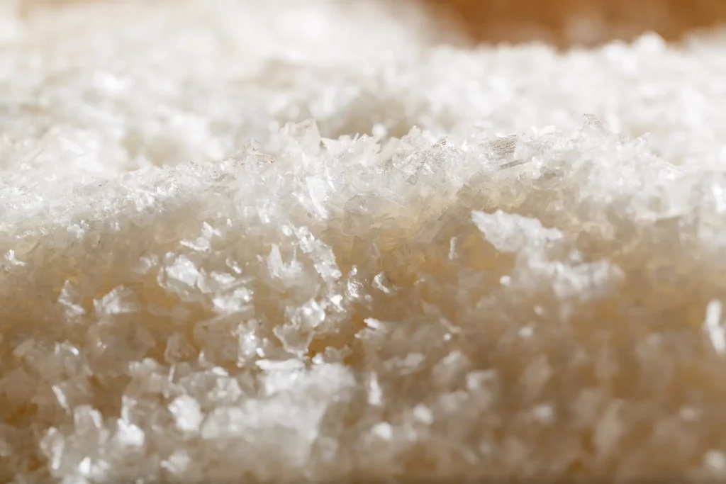 Salmarim featured.webp