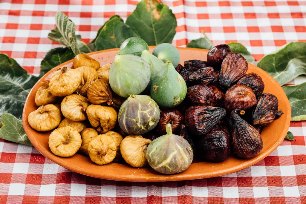 Solfigo featured.webp