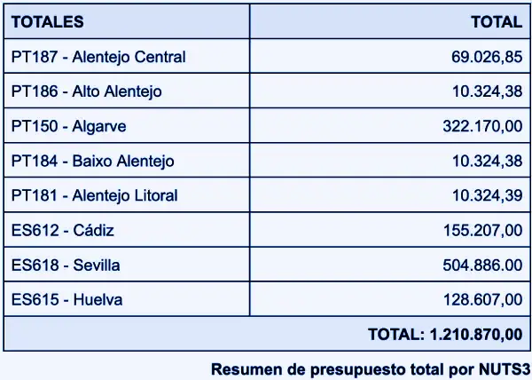Resumen presupuesto total color